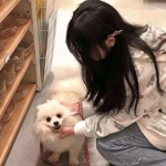 王者荣耀盒子app下载